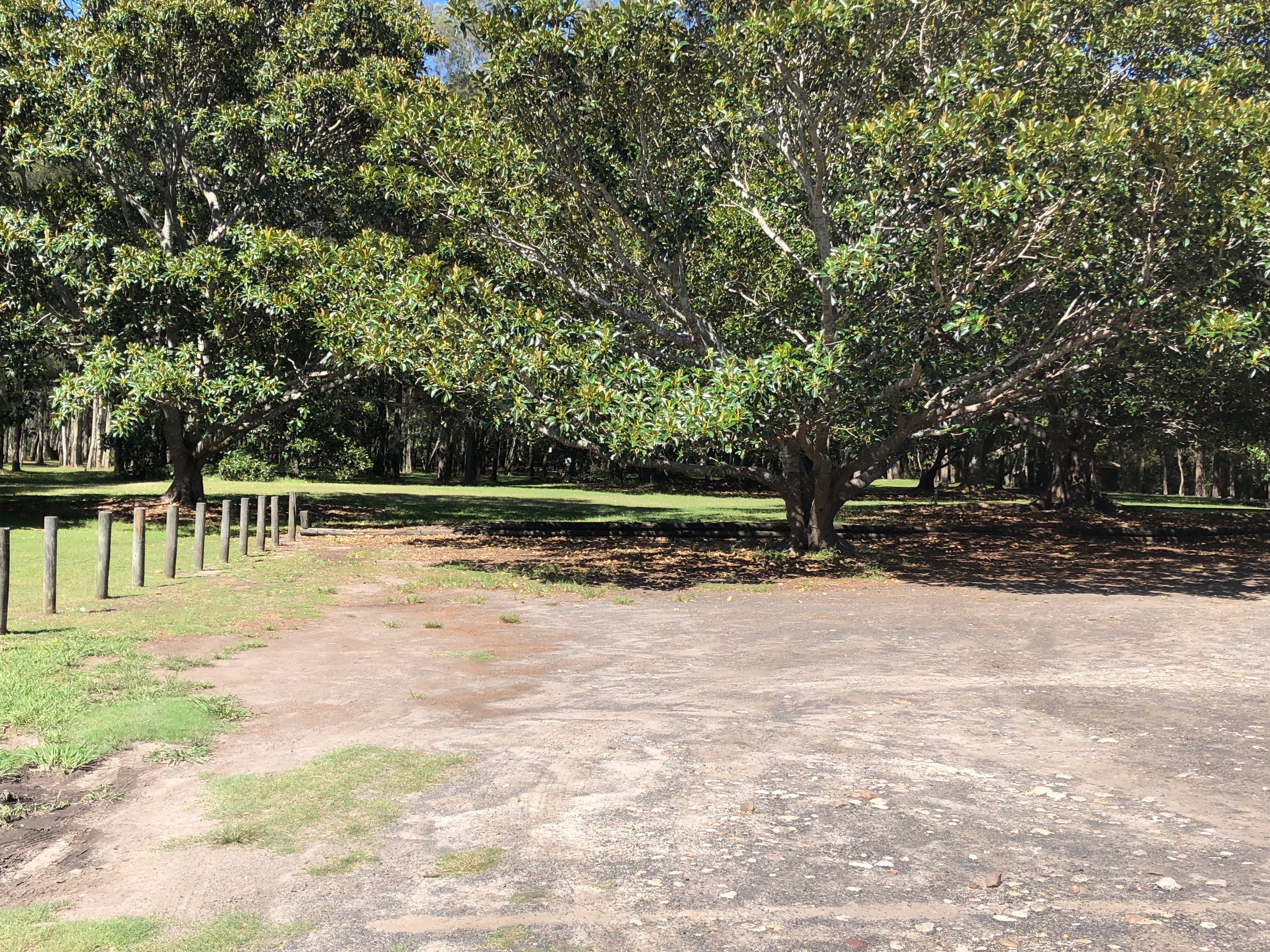 Northern Beaches Public Day Tour febuary 2019 Image -5c64960958b37